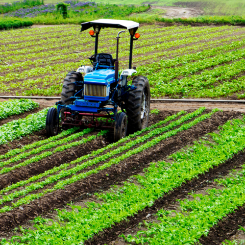 Agriculture