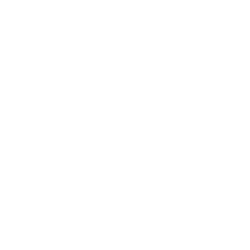 Tax Compliance & Lodgements 