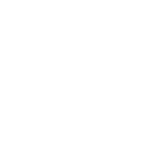 Business Structuring<br> & Setup 