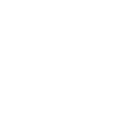 Business Structuring<br> & Setup 